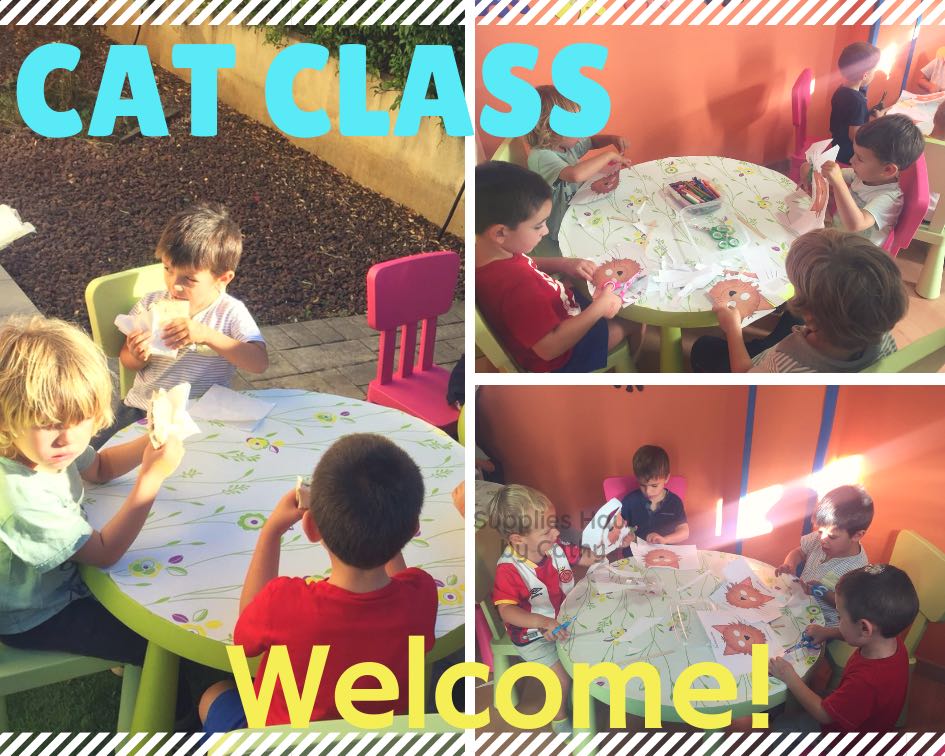 CAT CLASS