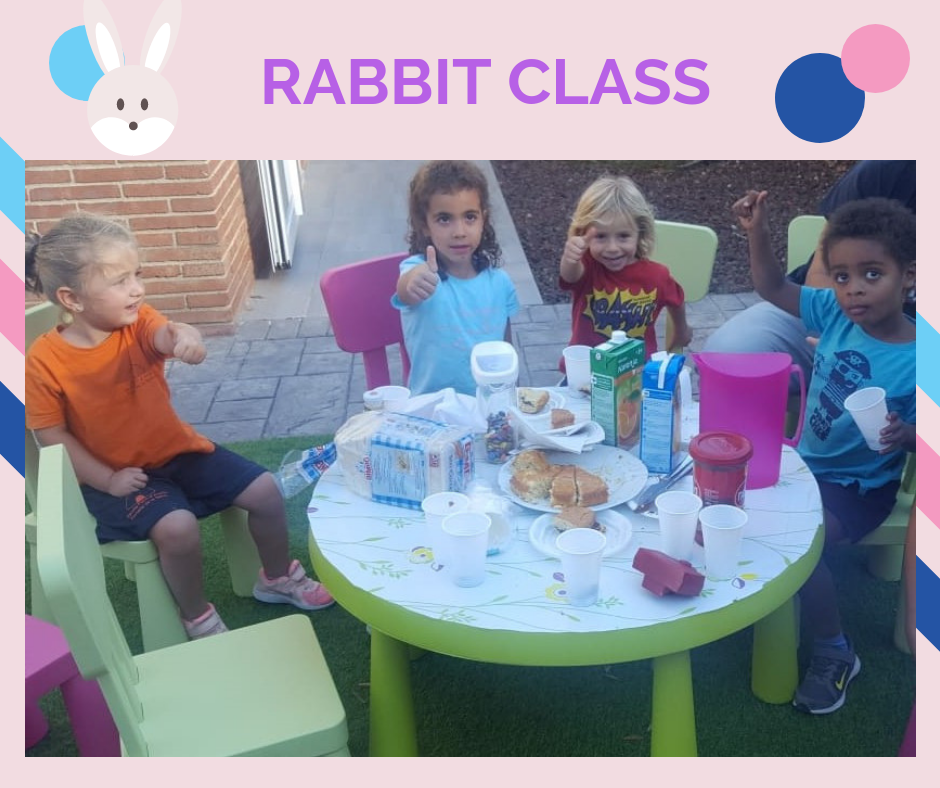 rabbit class